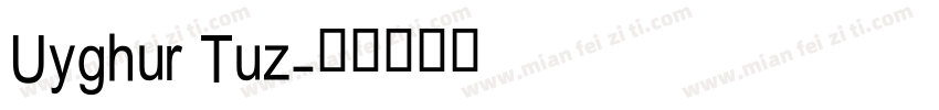 Uyghur Tuz字体转换